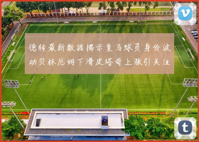 德转最新数据揭示皇马球员身价波动贝林厄姆下滑皮塔奇上涨引关注