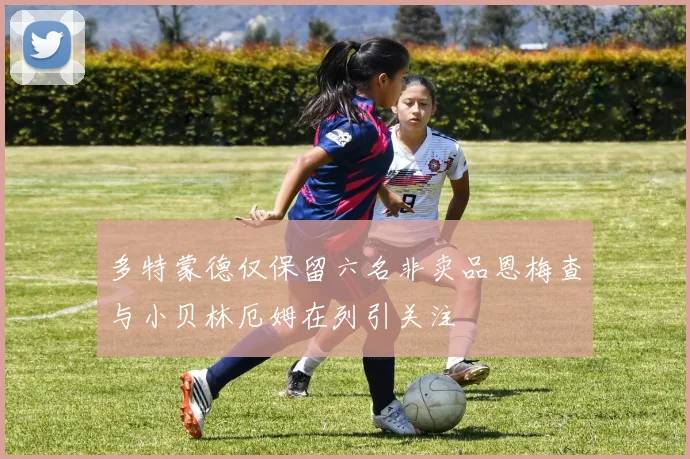 多特蒙德仅保留六名非卖品恩梅查与小贝林厄姆在列引关注