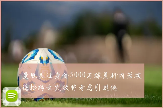 曼联关注身价5000万球员科内若埃德松转会失败将考虑引进他